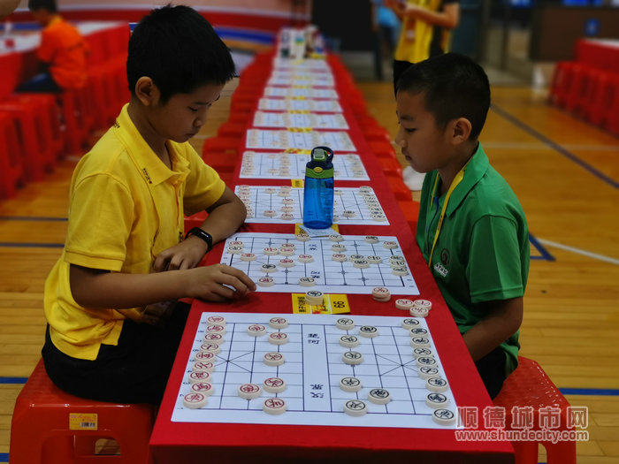 順德體育設(shè)施 順德體育設(shè)施