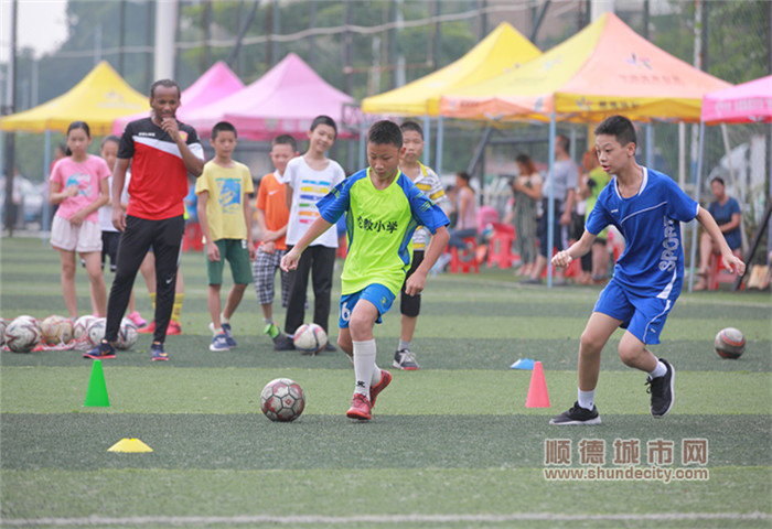 順德體育設(shè)施 順德體育設(shè)施