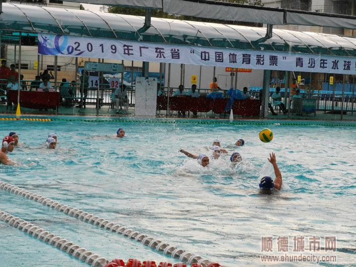 順德體育設施 順德體育設施