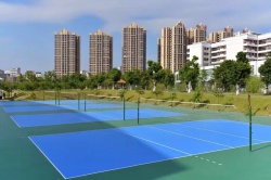 廣東湛江學院 硅PU球場_戶外運動地面案例_廣東