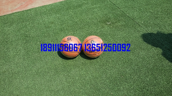 籃球，小籃球，少年籃球
