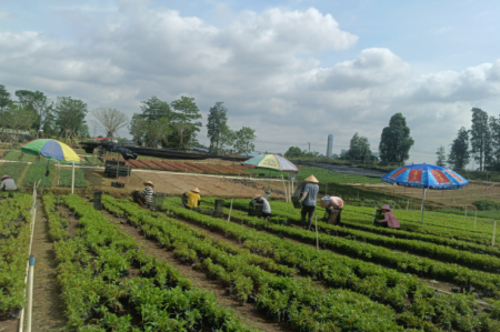 這項數(shù)據(jù)，橫欄排名全市第一！