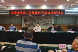 借鑒經(jīng)驗(yàn)、干在實(shí)處！中山沙溪全力推動(dòng)村鎮(zhèn)工業(yè)園改造