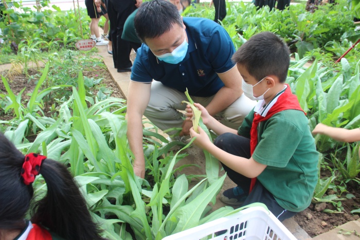 20220428神灣中心小學(xué)綜合實(shí)踐勞動(dòng)課程展示暨豐收節(jié)專題活動(dòng)照片 (8).jpg