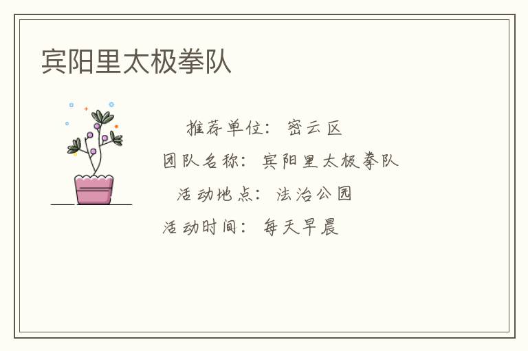 賓陽(yáng)里太極拳隊(duì)