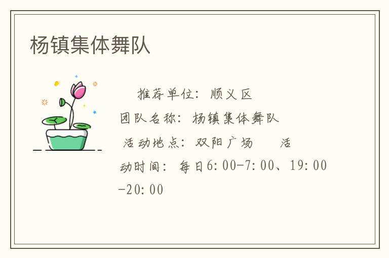 楊鎮(zhèn)集體舞隊