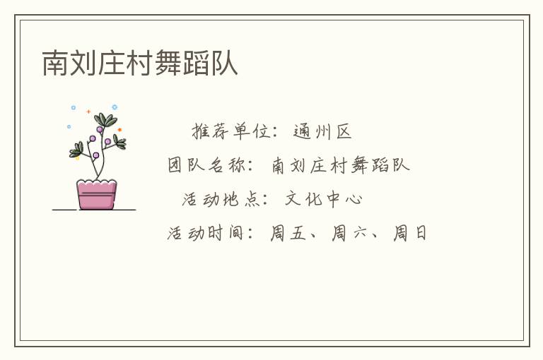 南劉莊村舞蹈隊