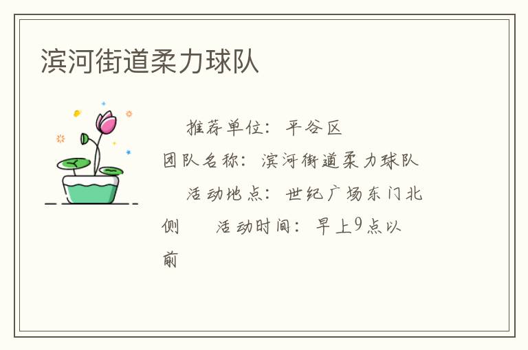 濱河街道柔力球隊(duì)