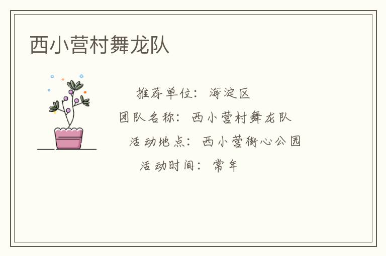 西小營(yíng)村舞龍隊(duì)