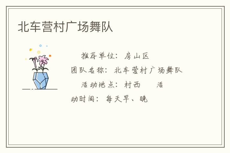 北車營(yíng)村廣場(chǎng)舞隊(duì)