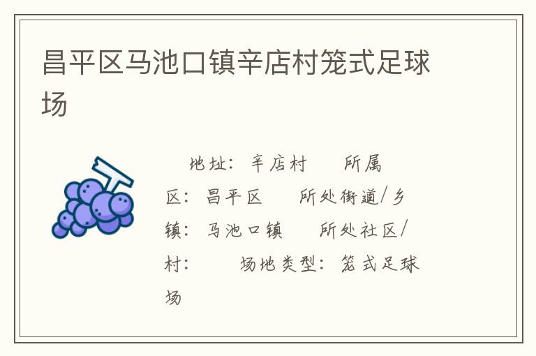 昌平區(qū)馬池口鎮(zhèn)辛店村籠式足球場