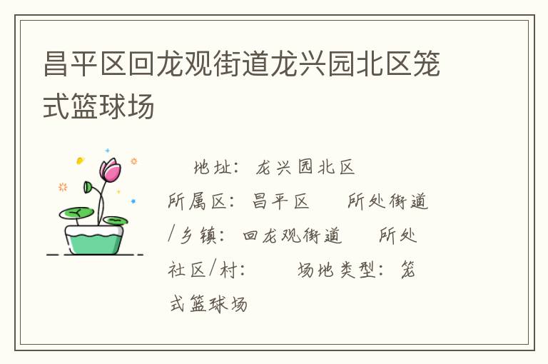 昌平區(qū)回龍觀(guān)街道龍興園北區(qū)籠式籃球場(chǎng)