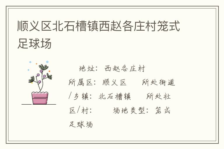 順義區(qū)北石槽鎮(zhèn)西趙各莊村籠式足球場(chǎng)