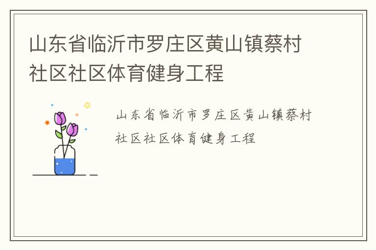 山東省臨沂市羅莊區(qū)黃山鎮(zhèn)蔡村社區(qū)社區(qū)體育健身工程