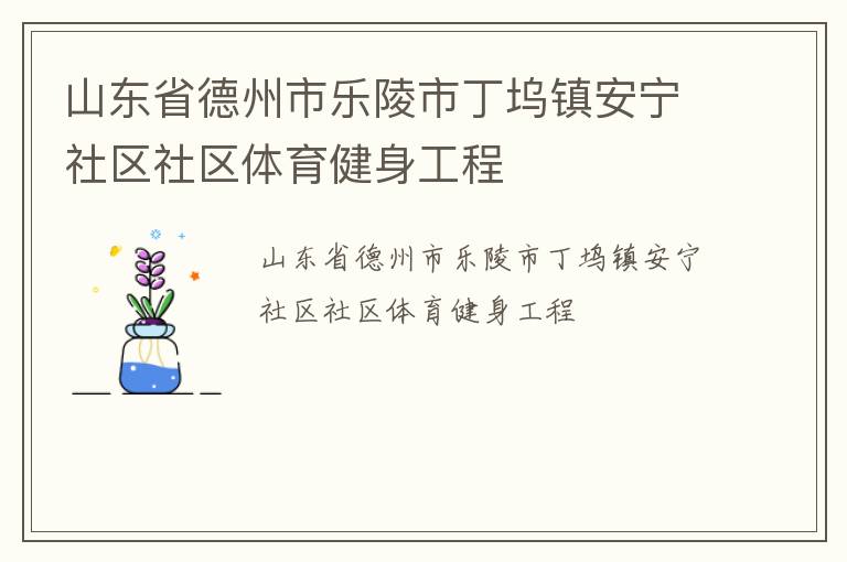 山東省德州市樂陵市丁塢鎮(zhèn)安寧社區(qū)社區(qū)體育健身工程
