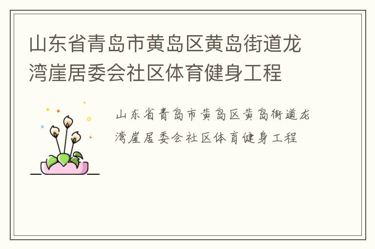 山東省青島市黃島區(qū)黃島街道龍灣崖居委會(huì)社區(qū)體育健身工程