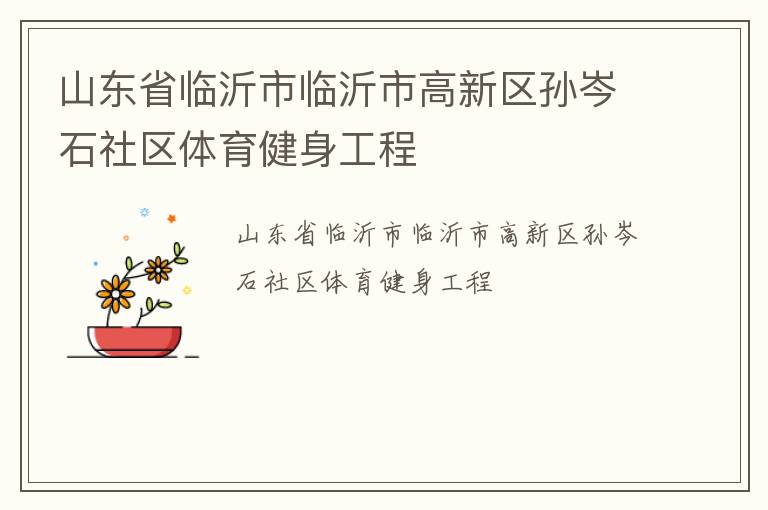 山東省臨沂市臨沂市高新區(qū)孫岑石社區(qū)體育健身工程