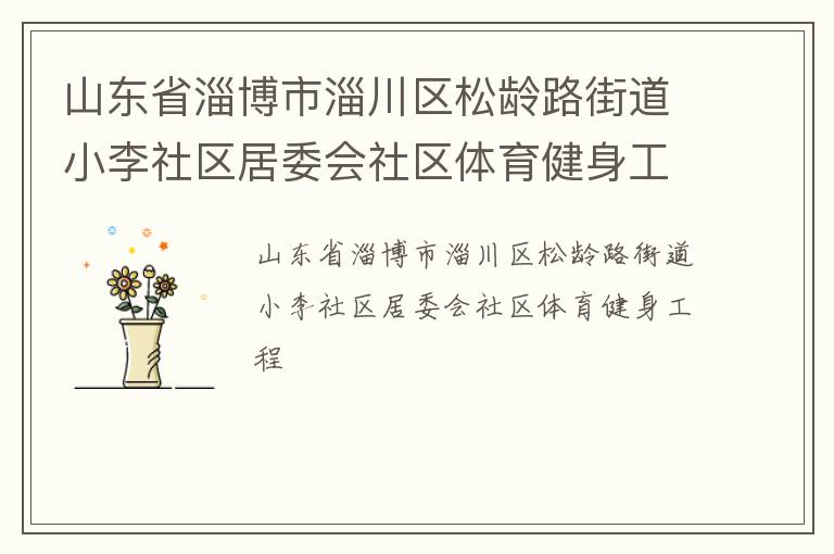 山東省淄博市淄川區(qū)松齡路街道小李社區(qū)居委會(huì)社區(qū)體育健身工程
