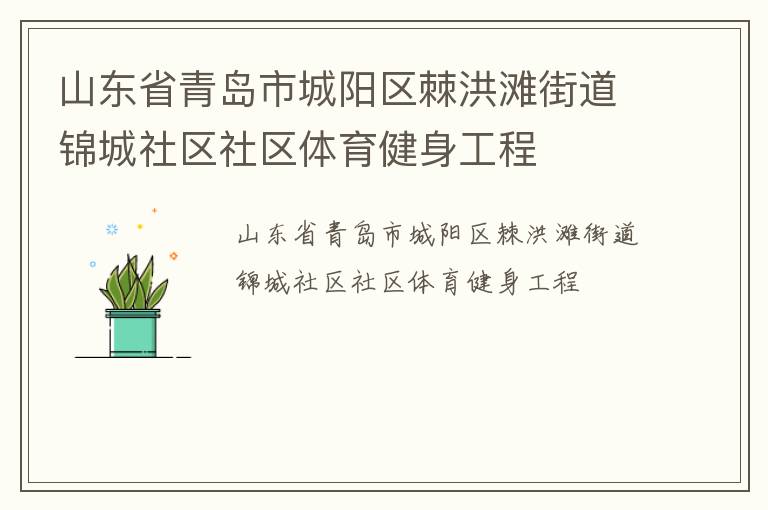 山東省青島市城陽區(qū)棘洪灘街道錦城社區(qū)社區(qū)體育健身工程