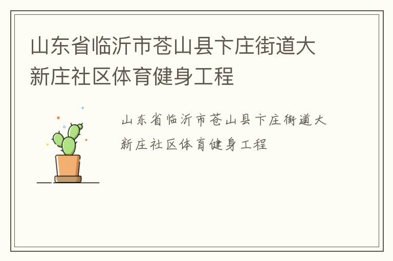 山東省臨沂市蒼山縣卞莊街道大新莊社區(qū)體育健身工程