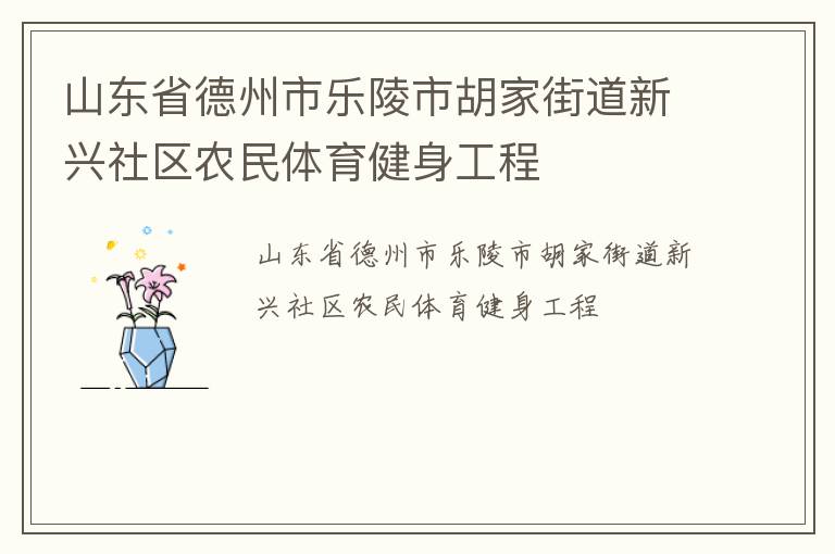 山東省德州市樂陵市胡家街道新興社區(qū)農(nóng)民體育健身工程
