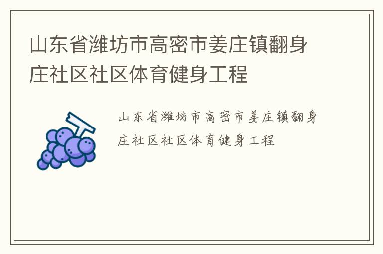 山東省濰坊市高密市姜莊鎮(zhèn)翻身莊社區(qū)社區(qū)體育健身工程