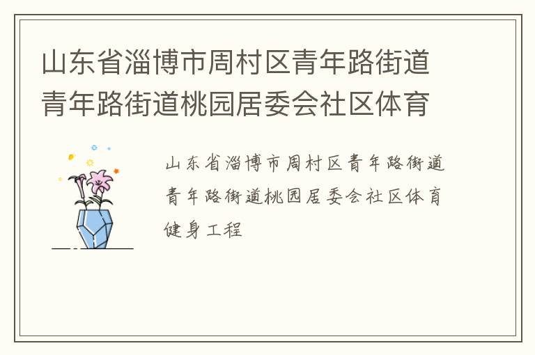 山東省淄博市周村區(qū)青年路街道青年路街道桃園居委會社區(qū)體育健身工程
