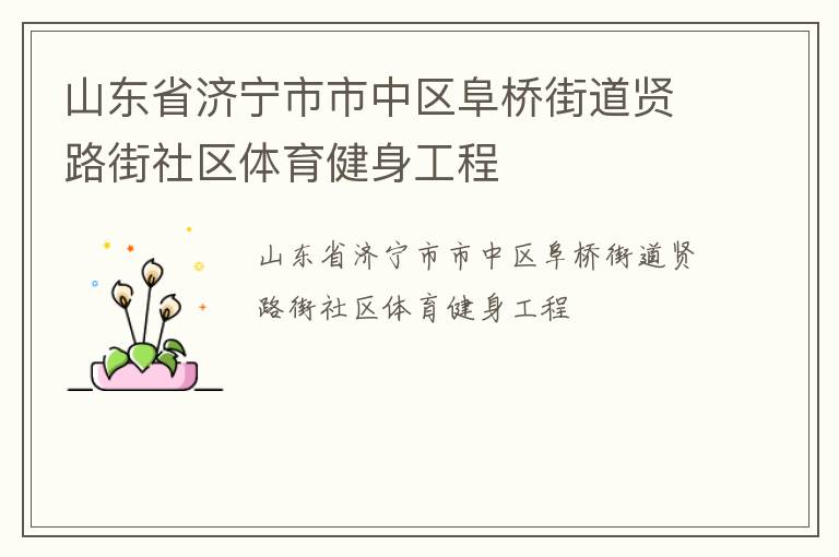 山東省濟寧市市中區(qū)阜橋街道賢路街社區(qū)體育健身工程