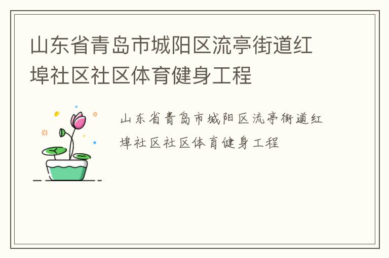 山東省青島市城陽區(qū)流亭街道紅埠社區(qū)社區(qū)體育健身工程