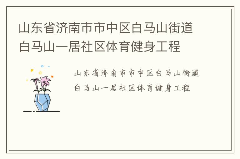 山東省濟(jì)南市市中區(qū)白馬山街道白馬山一居社區(qū)體育健身工程