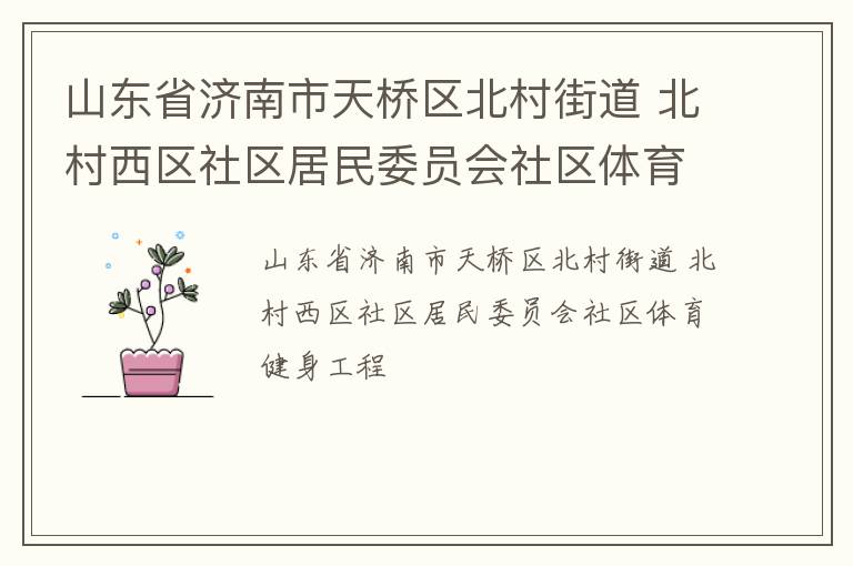 山東省濟(jì)南市天橋區(qū)北村街道 北村西區(qū)社區(qū)居民委員會(huì)社區(qū)體育健身工程