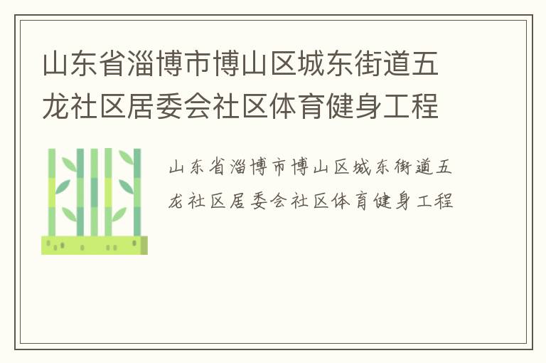 山東省淄博市博山區(qū)城東街道五龍社區(qū)居委會社區(qū)體育健身工程