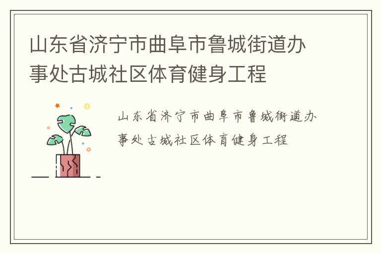 山東省濟(jì)寧市曲阜市魯城街道辦事處古城社區(qū)體育健身工程