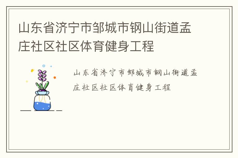 山東省濟(jì)寧市鄒城市鋼山街道孟莊社區(qū)社區(qū)體育健身工程