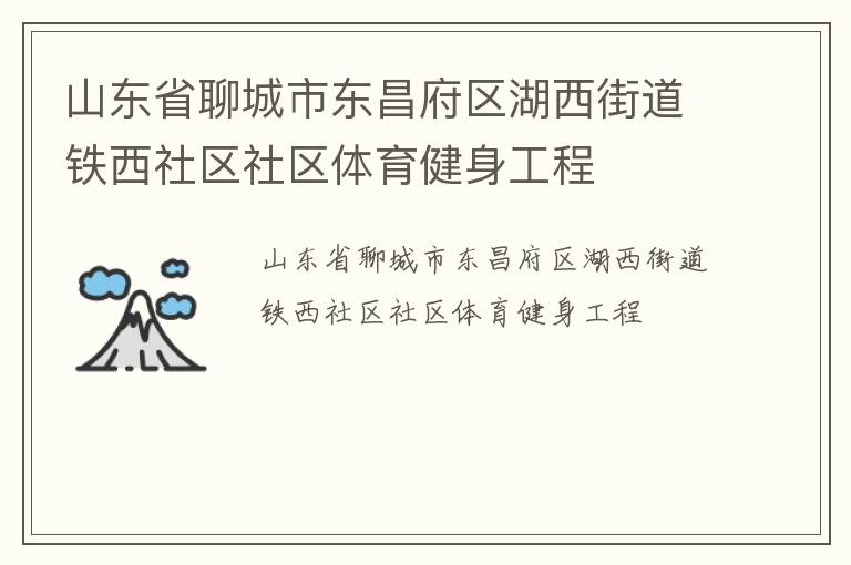 山東省聊城市東昌府區(qū)湖西街道鐵西社區(qū)社區(qū)體育健身工程