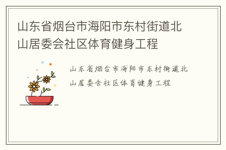 山東省煙臺市海陽市東村街道北山居委會社區(qū)體育健身工程