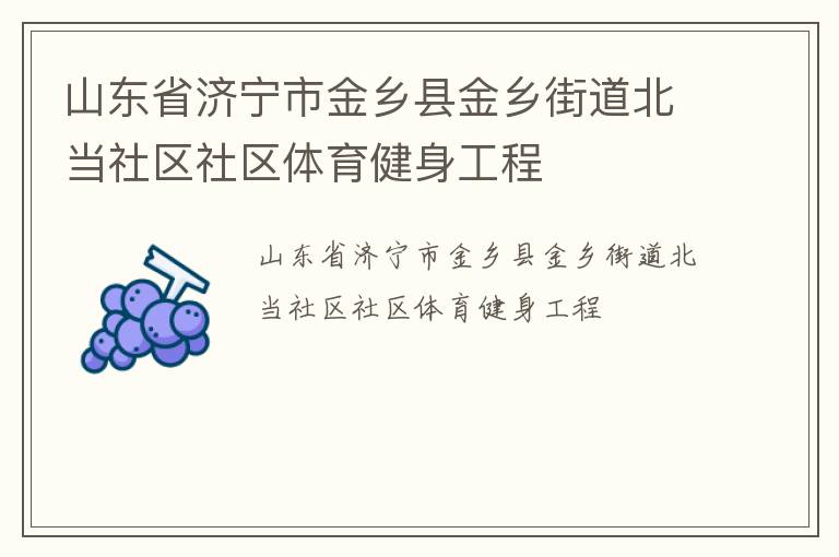 山東省濟寧市金鄉(xiāng)縣金鄉(xiāng)街道北當社區(qū)社區(qū)體育健身工程
