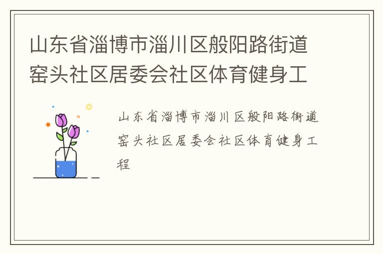山東省淄博市淄川區(qū)般陽路街道窯頭社區(qū)居委會社區(qū)體育健身工程