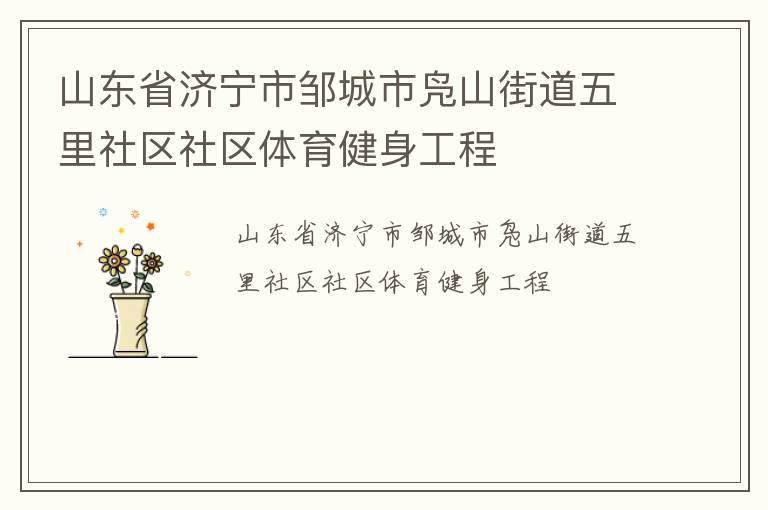 山東省濟寧市鄒城市鳧山街道五里社區(qū)社區(qū)體育健身工程