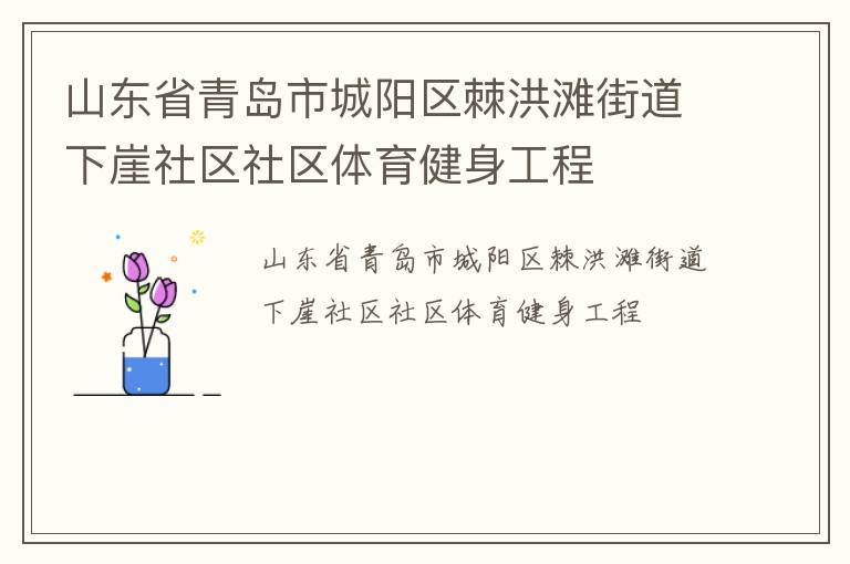 山東省青島市城陽(yáng)區(qū)棘洪灘街道下崖社區(qū)社區(qū)體育健身工程