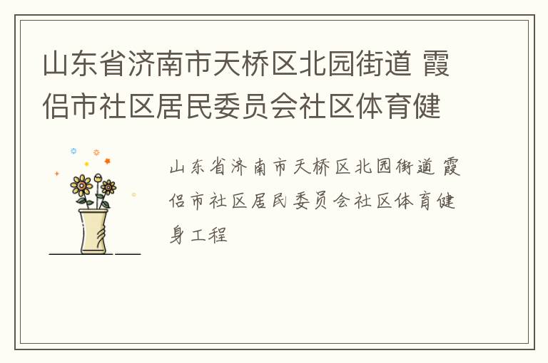 山東省濟(jì)南市天橋區(qū)北園街道 霞侶市社區(qū)居民委員會(huì)社區(qū)體育健身工程