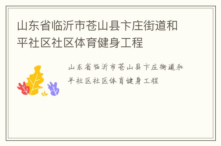 山東省臨沂市蒼山縣卞莊街道和平社區(qū)社區(qū)體育健身工程
