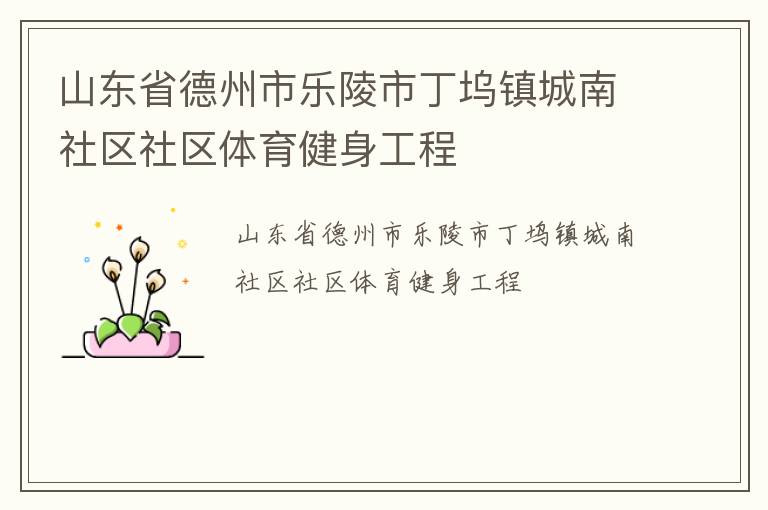 山東省德州市樂陵市丁塢鎮(zhèn)城南社區(qū)社區(qū)體育健身工程