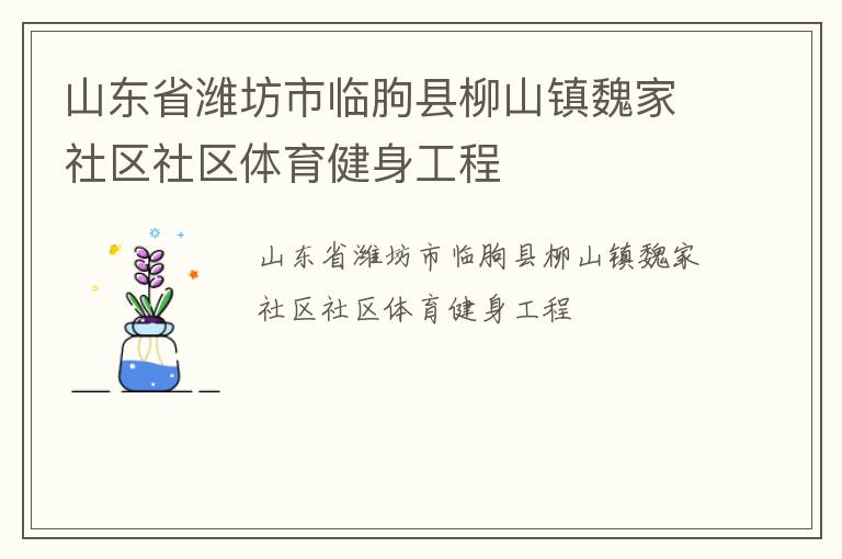 山東省濰坊市臨朐縣柳山鎮(zhèn)魏家社區(qū)社區(qū)體育健身工程