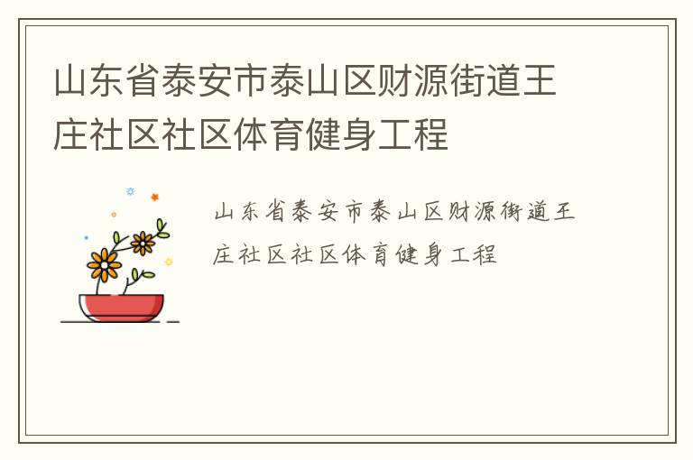 山東省泰安市泰山區(qū)財(cái)源街道王莊社區(qū)社區(qū)體育健身工程
