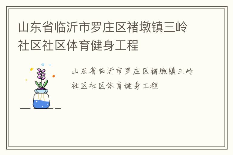 山東省臨沂市羅莊區(qū)褚墩鎮(zhèn)三嶺社區(qū)社區(qū)體育健身工程