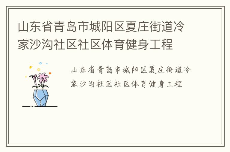 山東省青島市城陽區(qū)夏莊街道冷家沙溝社區(qū)社區(qū)體育健身工程