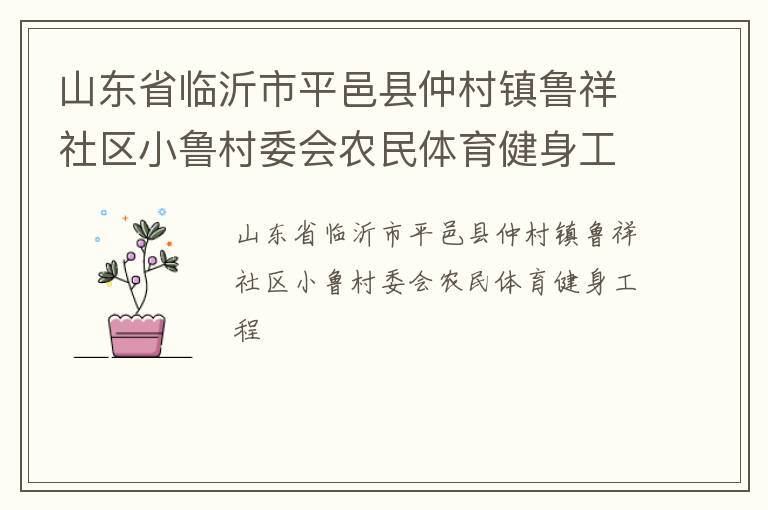 山東省臨沂市平邑縣仲村鎮(zhèn)魯祥社區(qū)小魯村委會農民體育健身工程