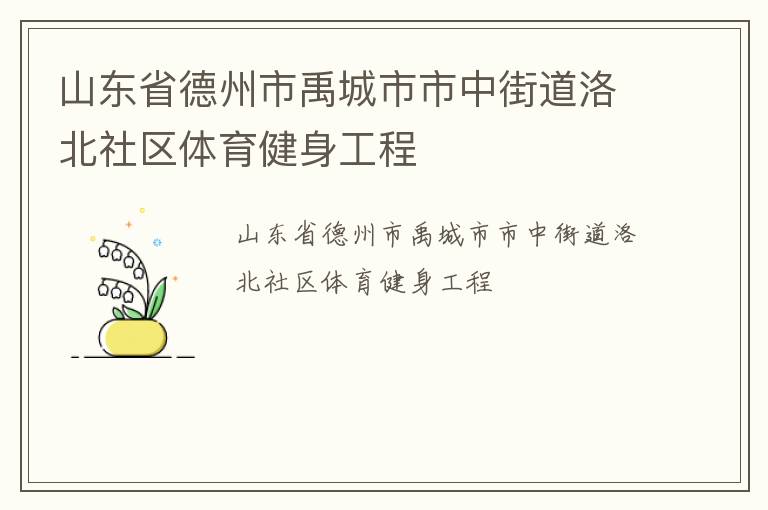 山東省德州市禹城市市中街道洛北社區(qū)體育健身工程