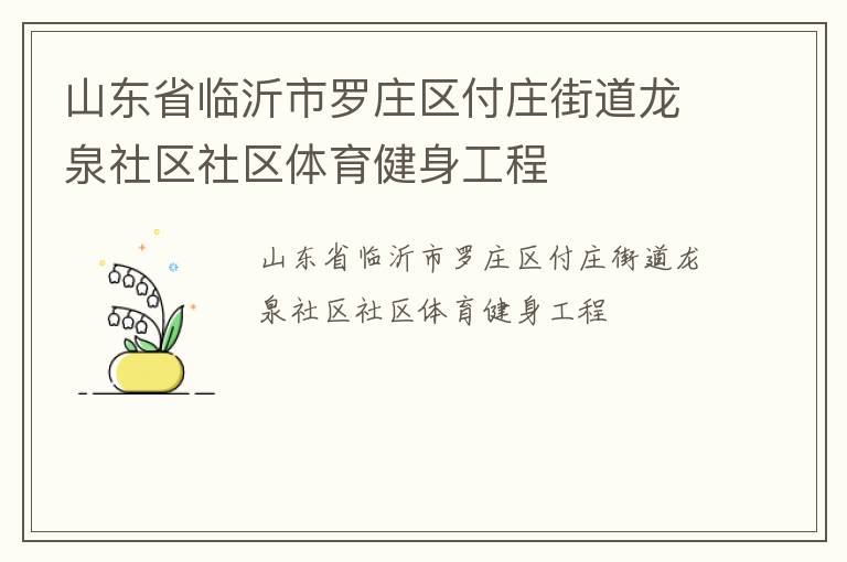 山東省臨沂市羅莊區(qū)付莊街道龍泉社區(qū)社區(qū)體育健身工程